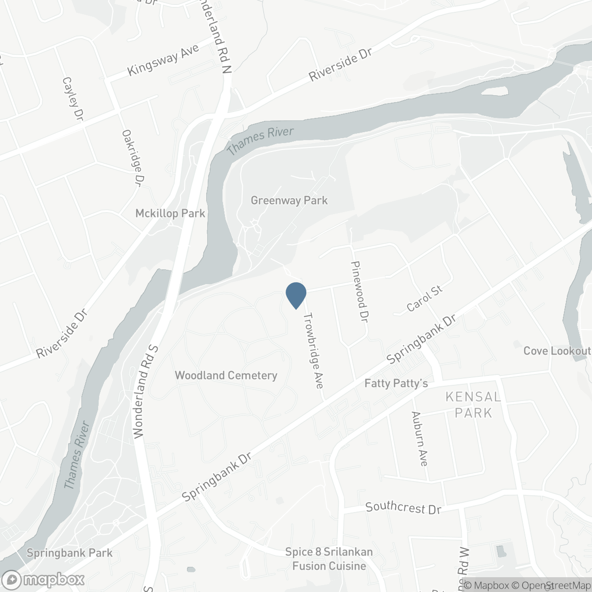 155 TROWBRIDGE AVENUE, London, Ontario N6J 3M2